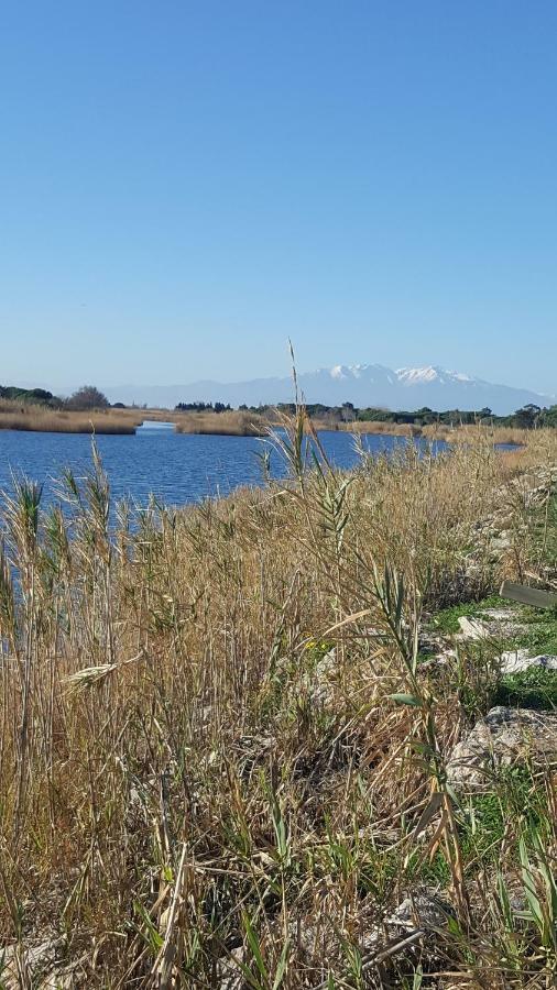 Appartement Le Flamant Rose Port-la-Nouvelle Εξωτερικό φωτογραφία