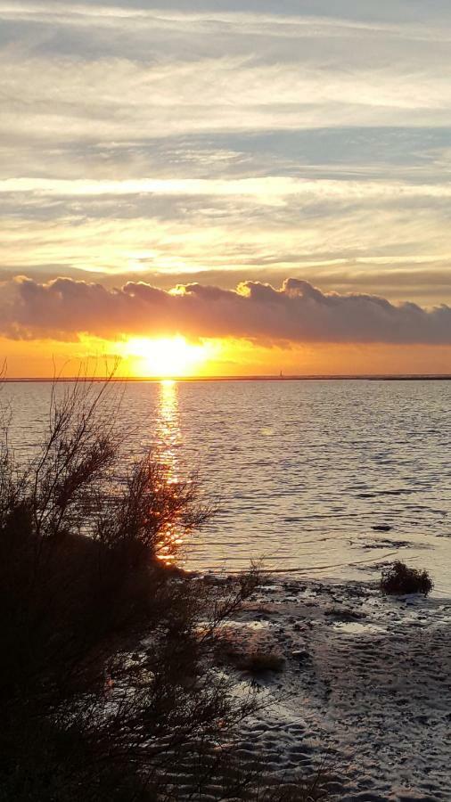 Appartement Le Flamant Rose Port-la-Nouvelle Εξωτερικό φωτογραφία